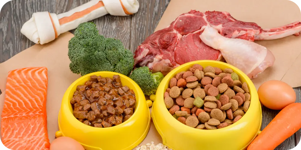 What Is The Healthiest Dog Food For Senior Dogs?