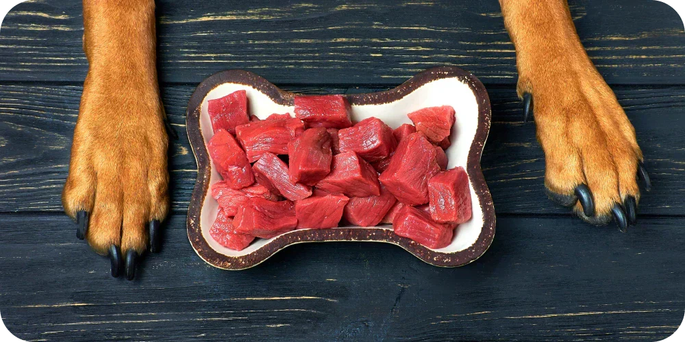 Is A Raw Food Diet Good For Dogs?