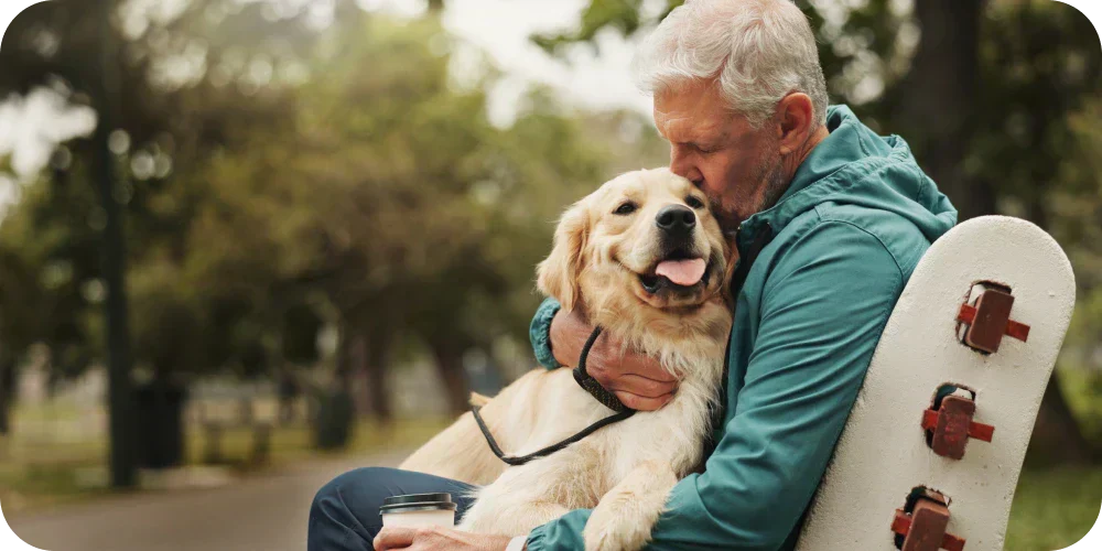 senior dog and man