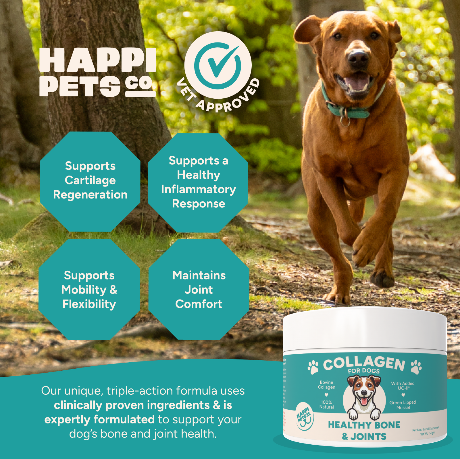 Collagen for Dogs