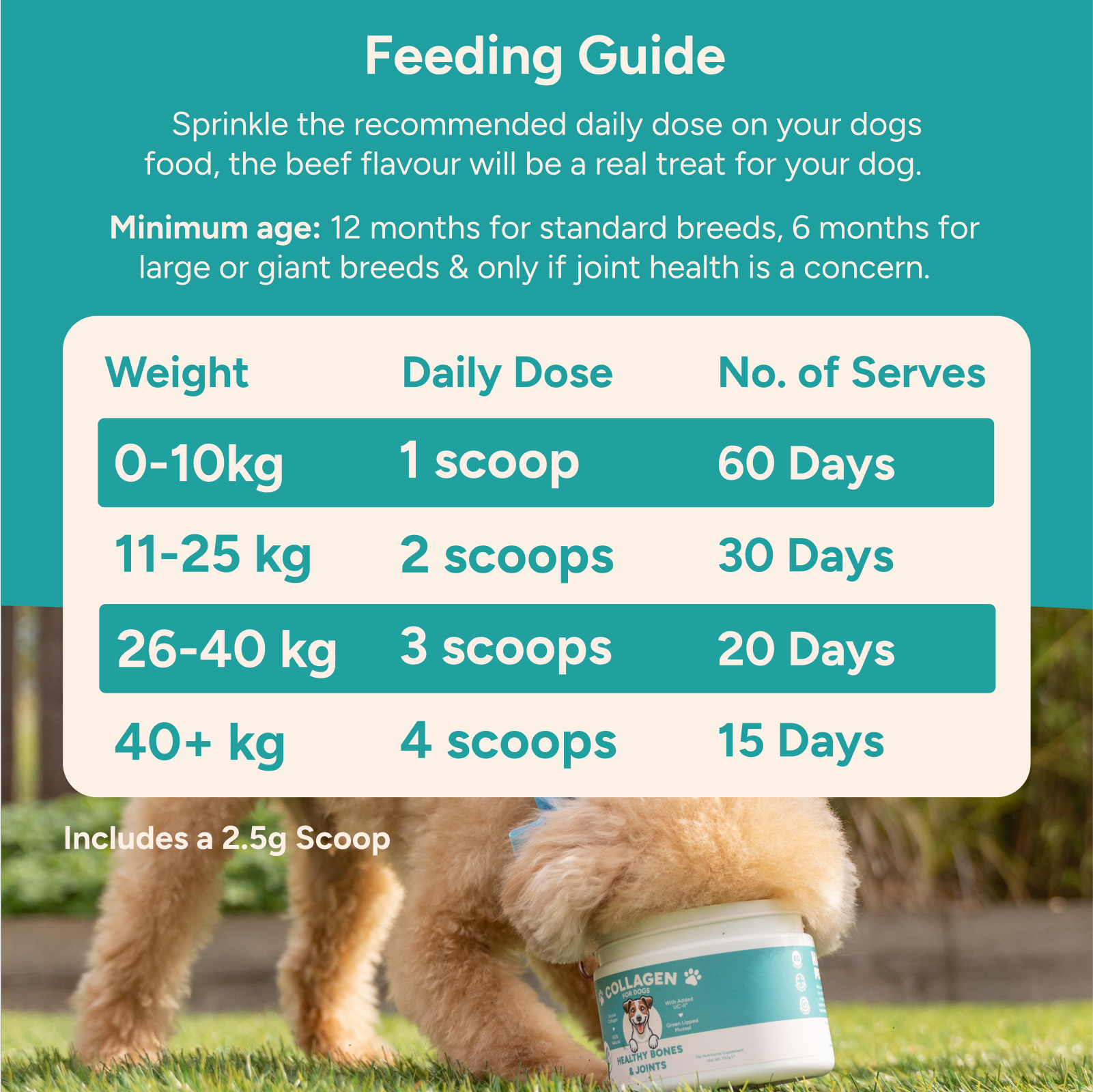 Collagen for Dogs