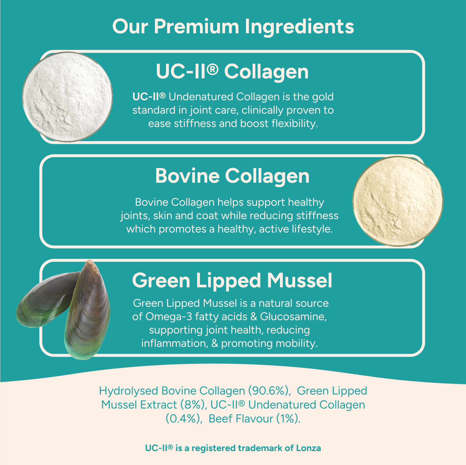 Collagen for Dogs